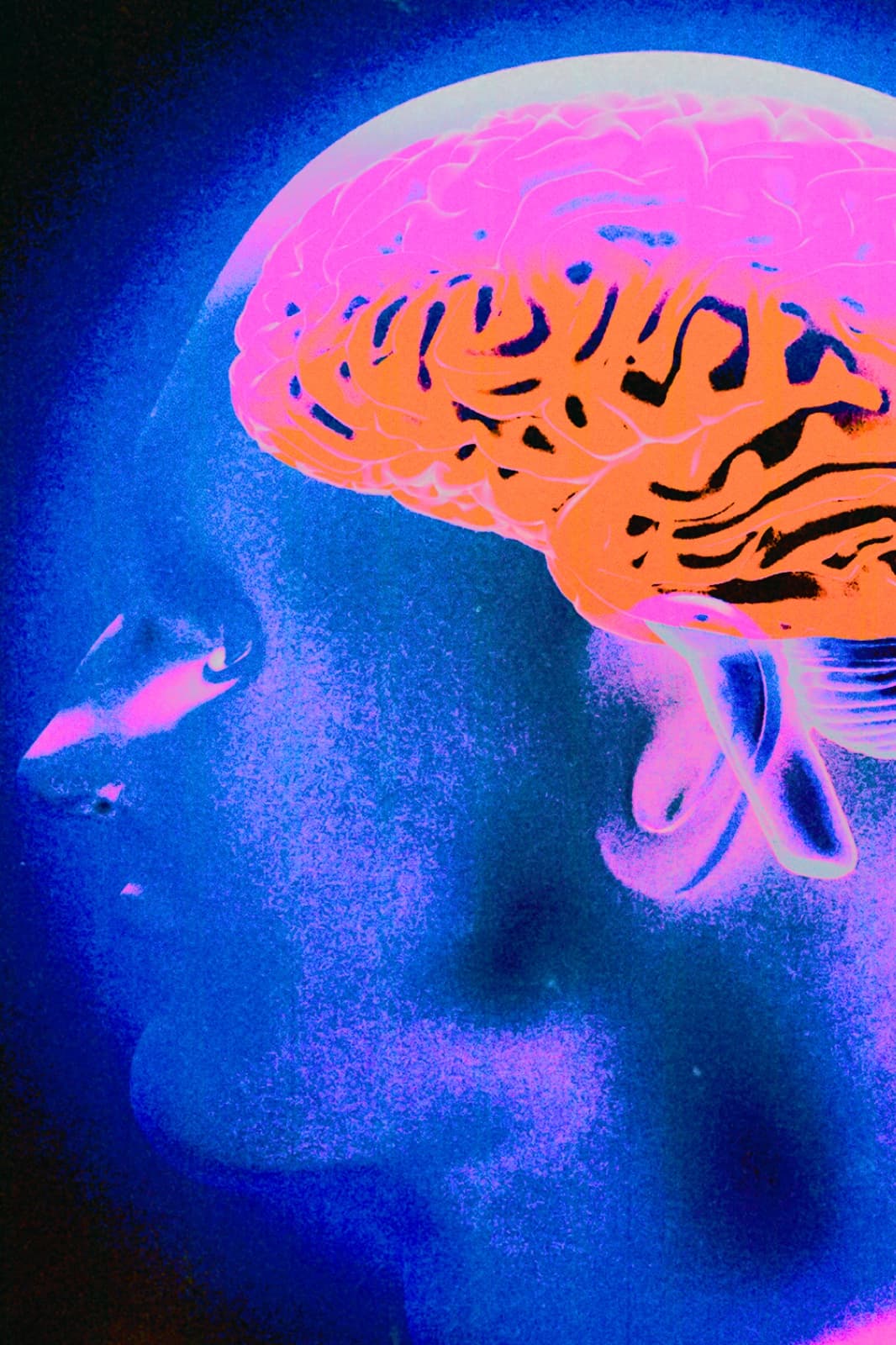 Ilustración de una cabeza humana con el cerebro resaltado en colores