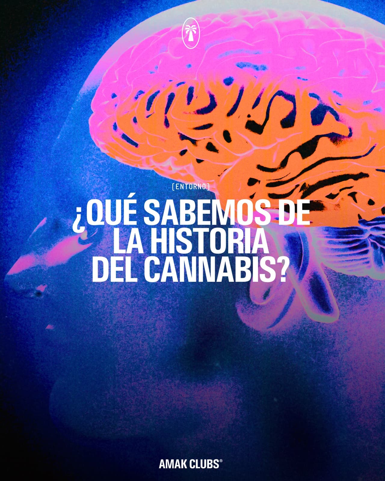 Portada "¿Qué sabemos de la historia del cannabis?" (Entorno) sobre una ilustración de una cabeza con el cerebro resaltado